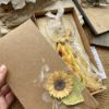 Obrázek Přání v krabičce s dárečkem Pavučina snů Včelka