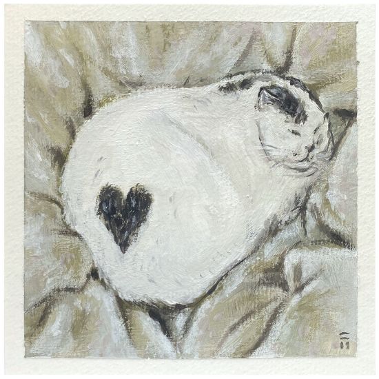 Obrázek Přání do obálky série Srdce - Kočička