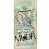 Obrázek Přáníčko k promoci MUDr. Pneumolog