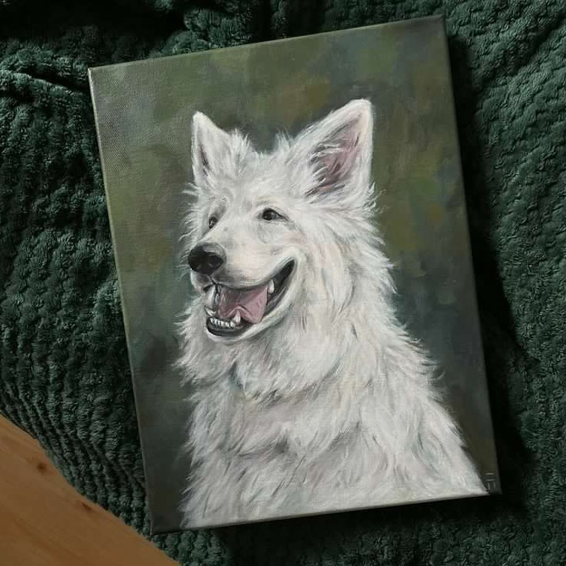 Reference Obraz na přání