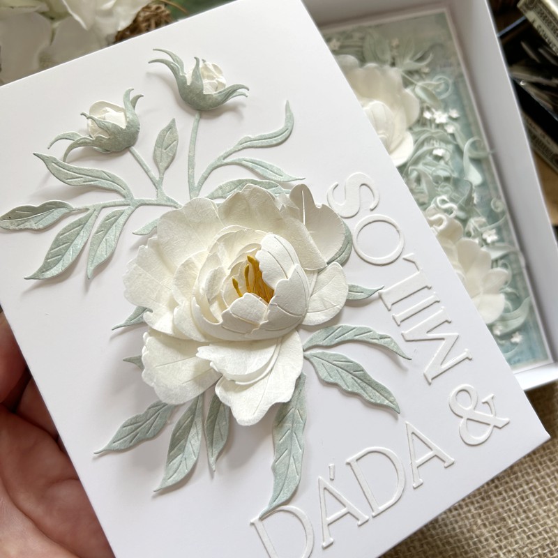 Reference Přání na přání